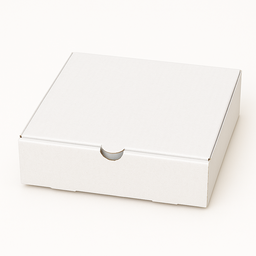 CATERING PLATTER BOXES - 10” x 10‘’ x 3’’ / WHITE WITHOUT WINDOW