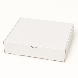 CATERING PLATTER BOXES - 15.5” x 11‘’ x 4’’/ WHITE WITHOUT WINDOW