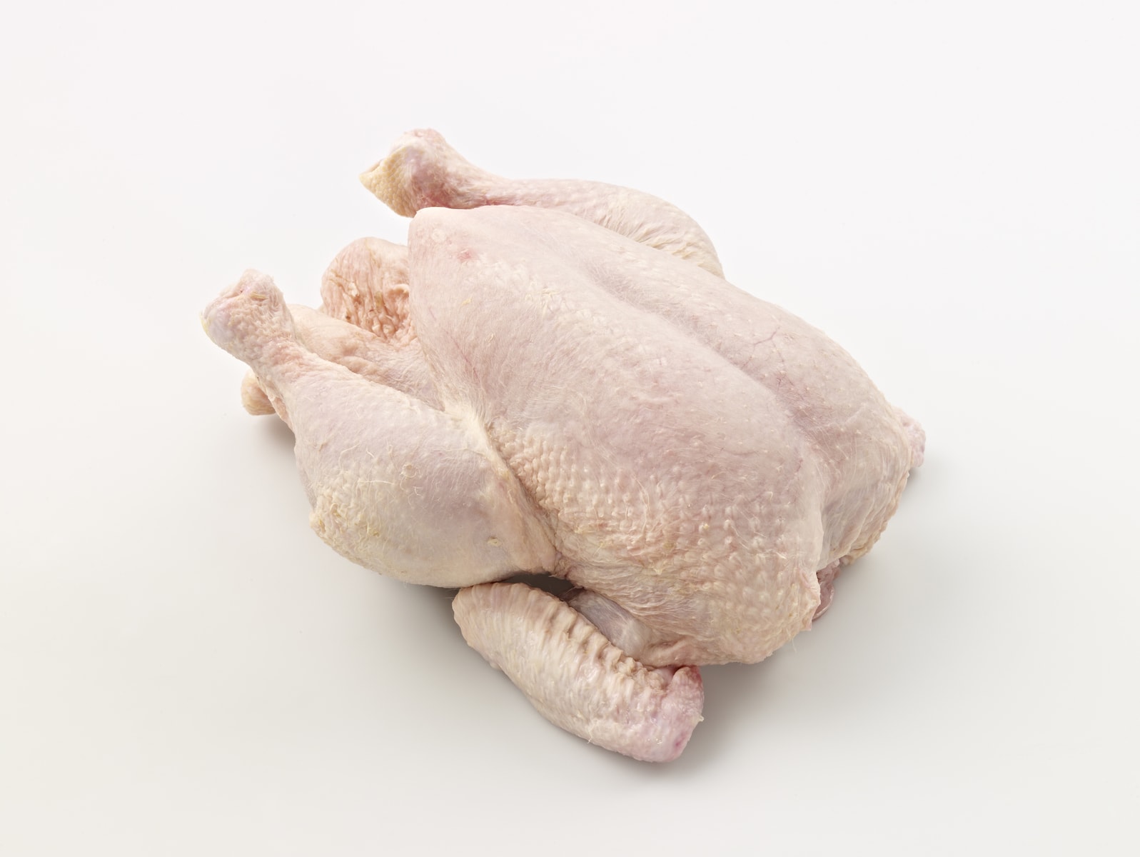Chicken_0