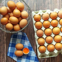 Telur Omega Red Organik 