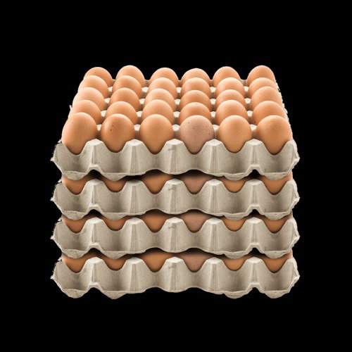 Telur Negeri Curah Per Tray 30s (Minimal 10 unit)_0