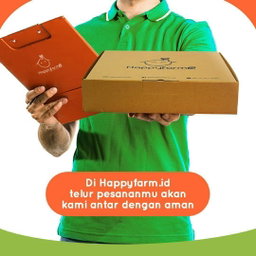 60 Telur Kampung Box