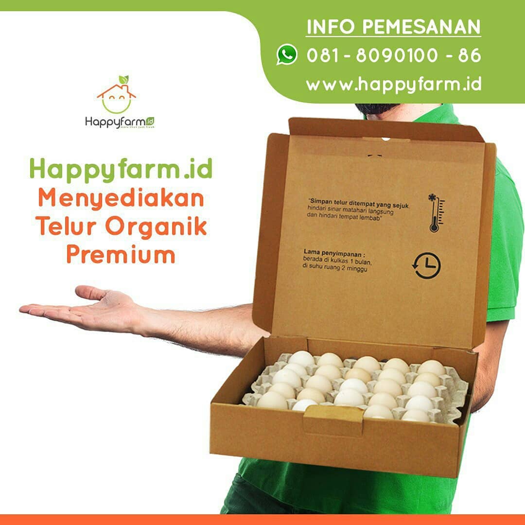 60 Telur Kampung Box_3