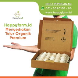 60 Telur Kampung Box