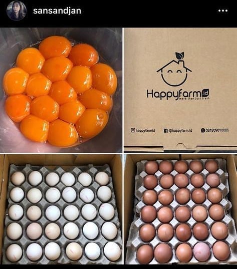 Mix 60 Box (30 Telur Kampung + 30 Telur Negeri)