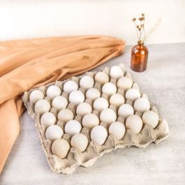 60 Telur Kampung