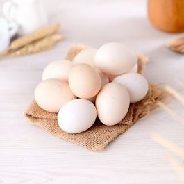 60 Telur Kampung_1