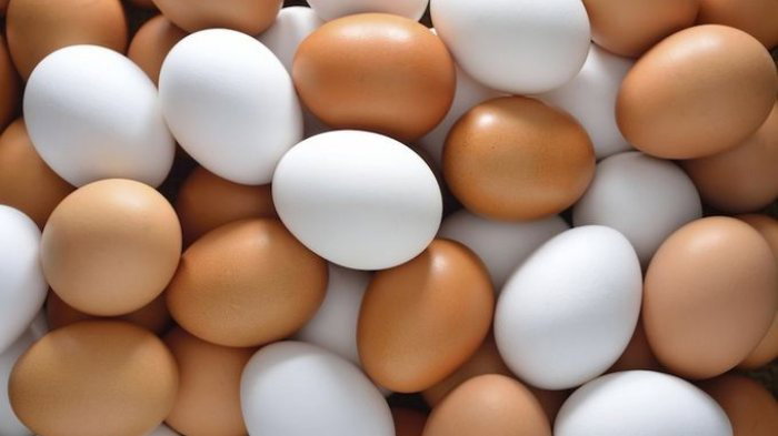 Telur Mix 30