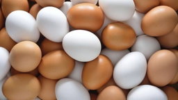 Telur Mix 30