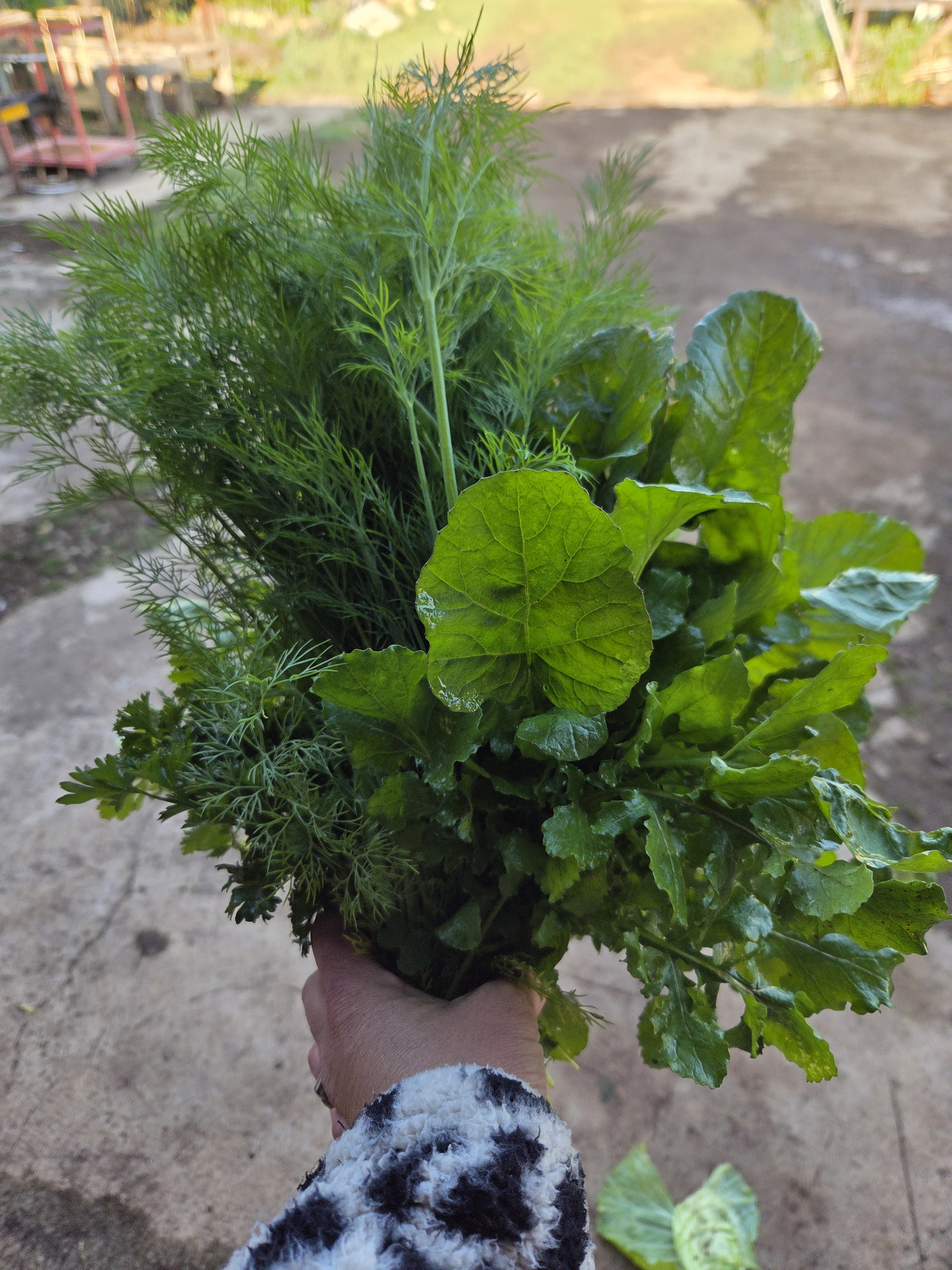 Mixed herbs 100g - organic_0