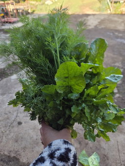 Mixed herbs 100g - organic