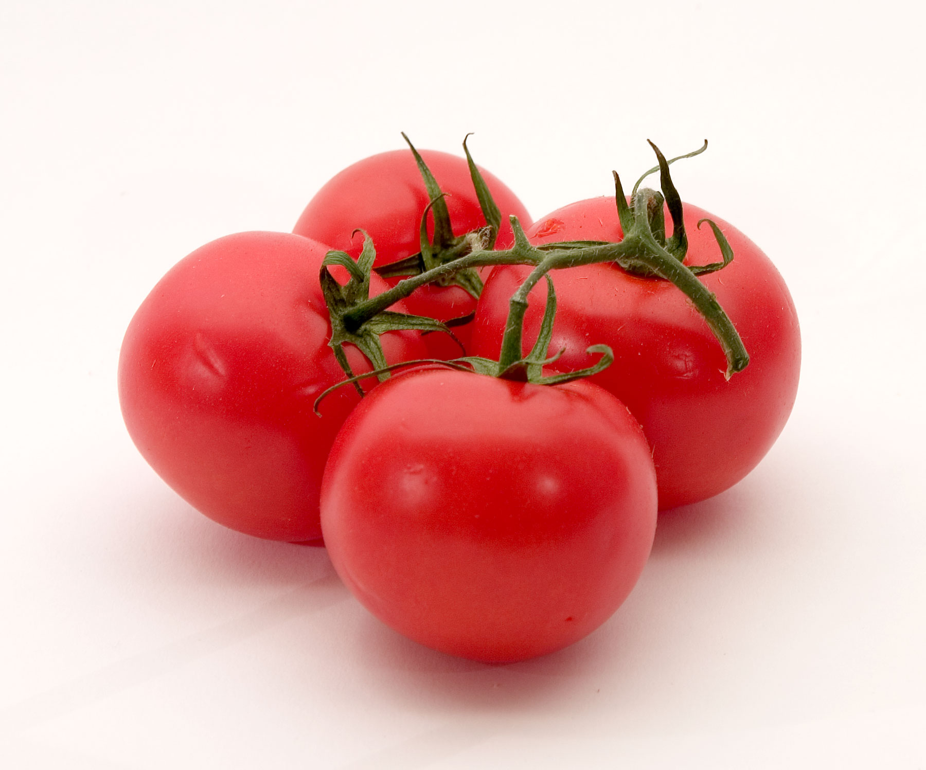 Tomatoes_0