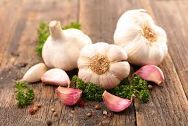 Garlic 