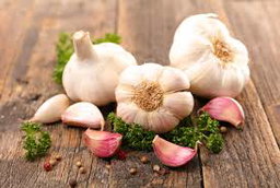 Garlic 