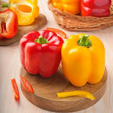 Capsicum 