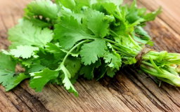 Herb