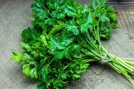 Parsley_0