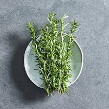 Rosemary_0