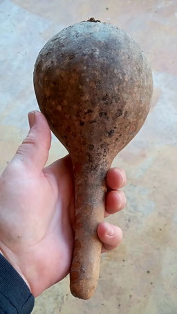 LADLE/SPOON GOURD  x 5 seeds 