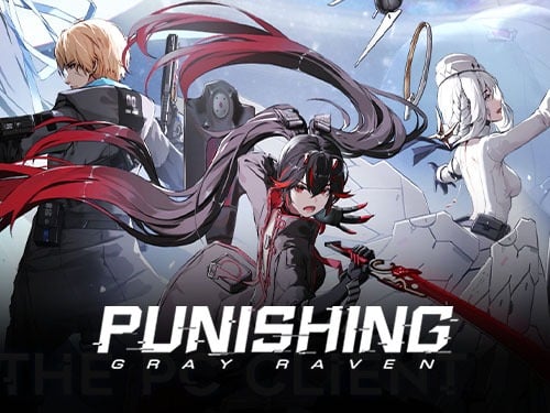 [Via ID] Punishing : Gray Raven