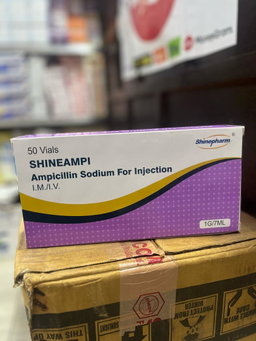 AMPICILLIN SODIUM FOR INJECTION 1G