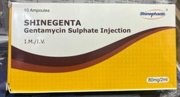 GENTAMYCIN SULPHATE INJECTION 