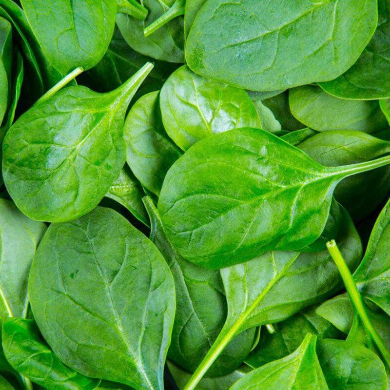 Baby Spinach