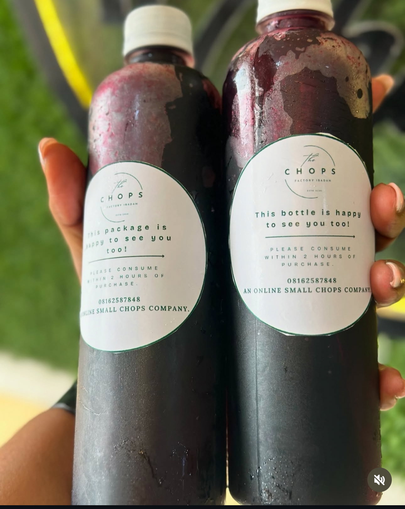 Hibiscus Wine Aka Zobo drink _1