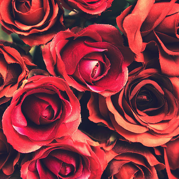 Bos blomme 