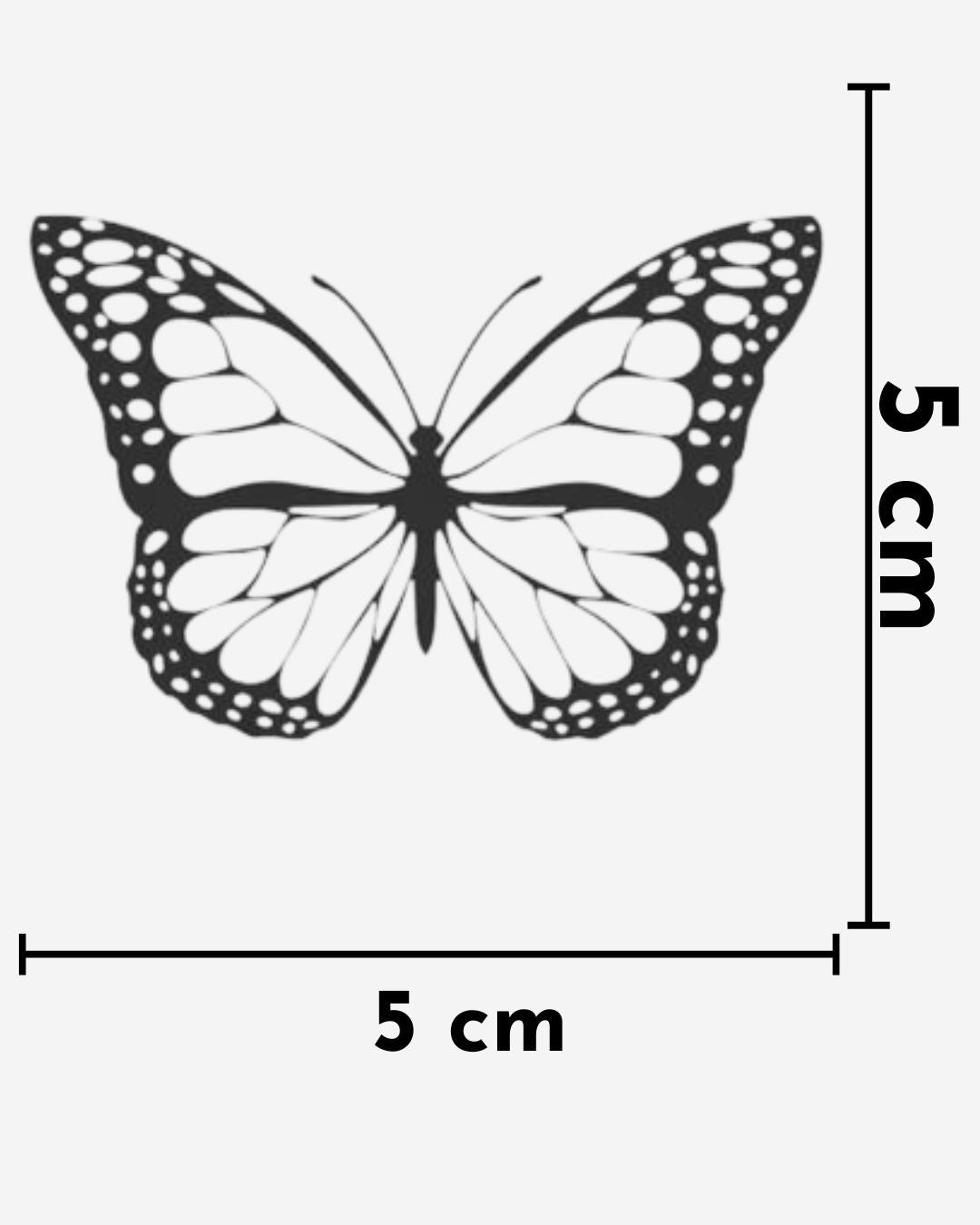 MariposaSimple_0