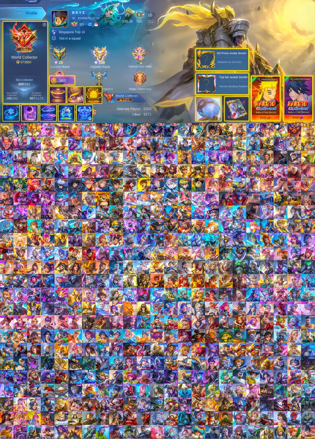 [Rank 1000 World Collector] 880 Skins Owned