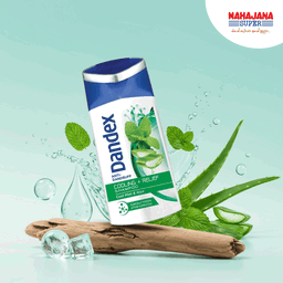Dandex Shampoo Cooling + Relief 80ml