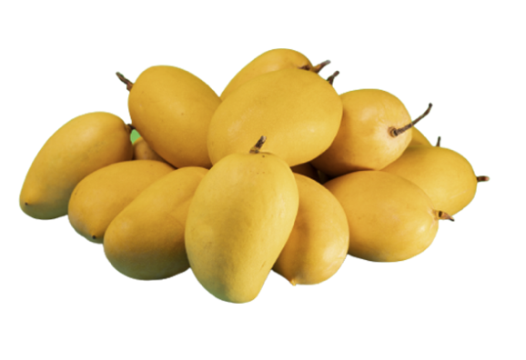 Kesar_0