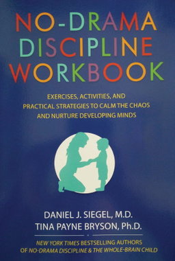 No Drama Discipline Workbook