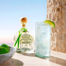 PATRON SILVER