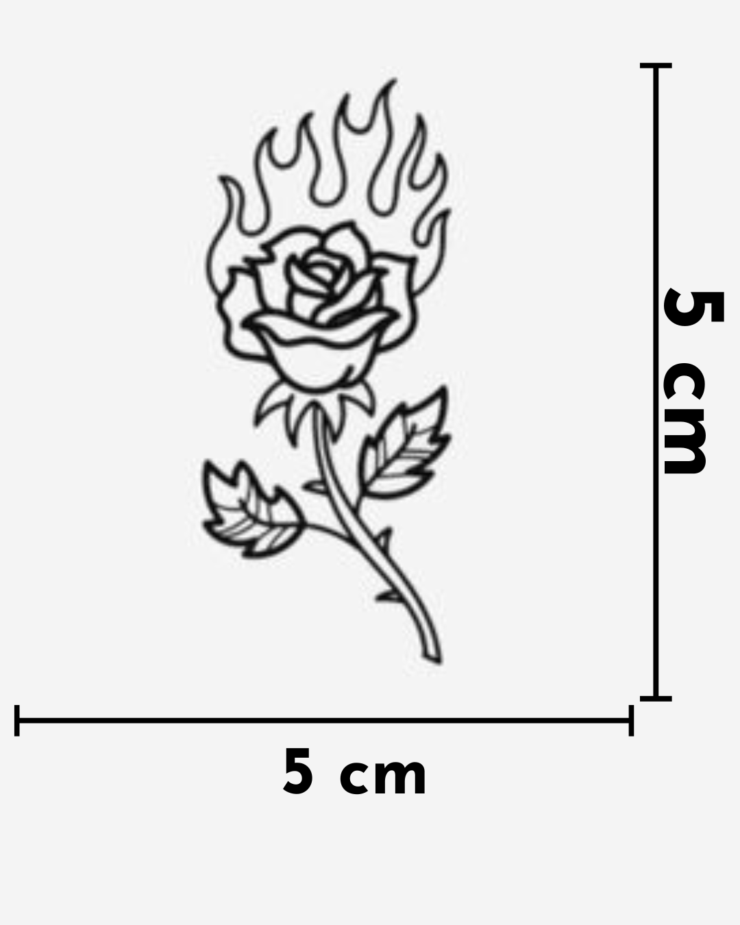 Rosa en Llamas_0