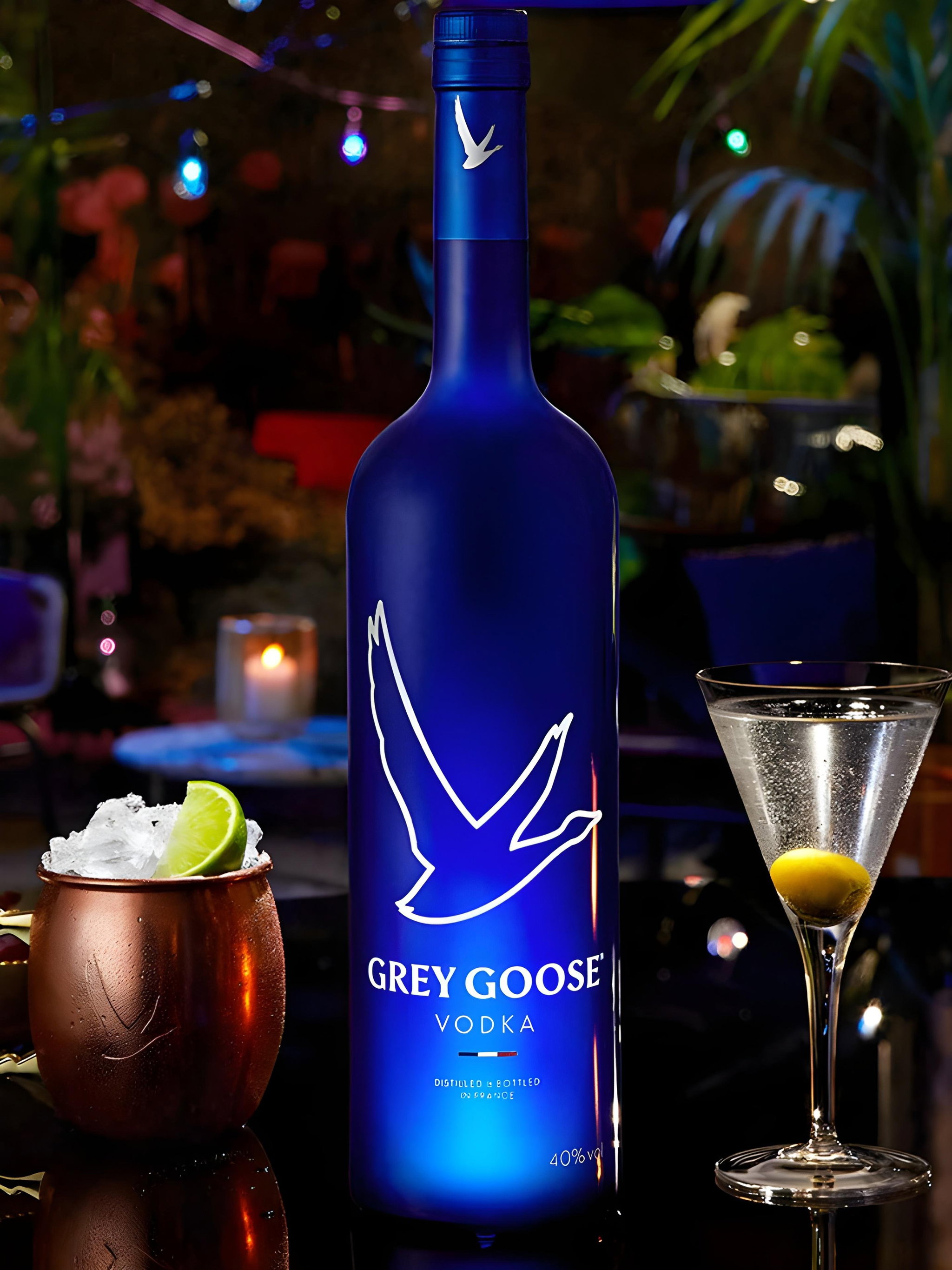 Grey Goose NIGHT EDITION_1