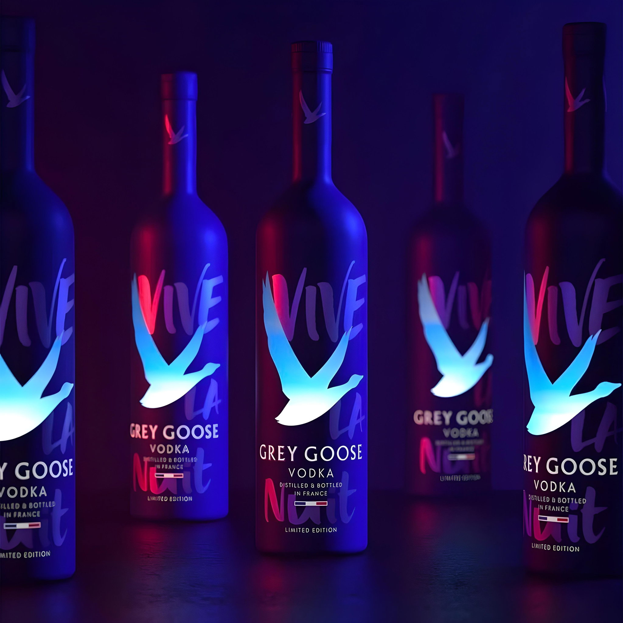 Grey Goose NIGHT EDITION_2