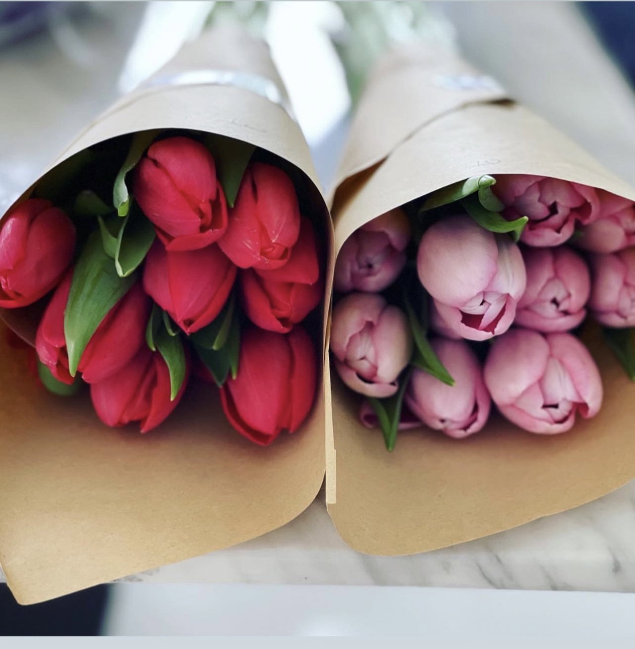 TULIPS PAPER WRAP_1