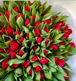 TULIPS PAPER WRAP
