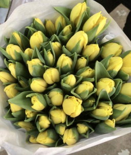 TULIPS PAPER WRAP