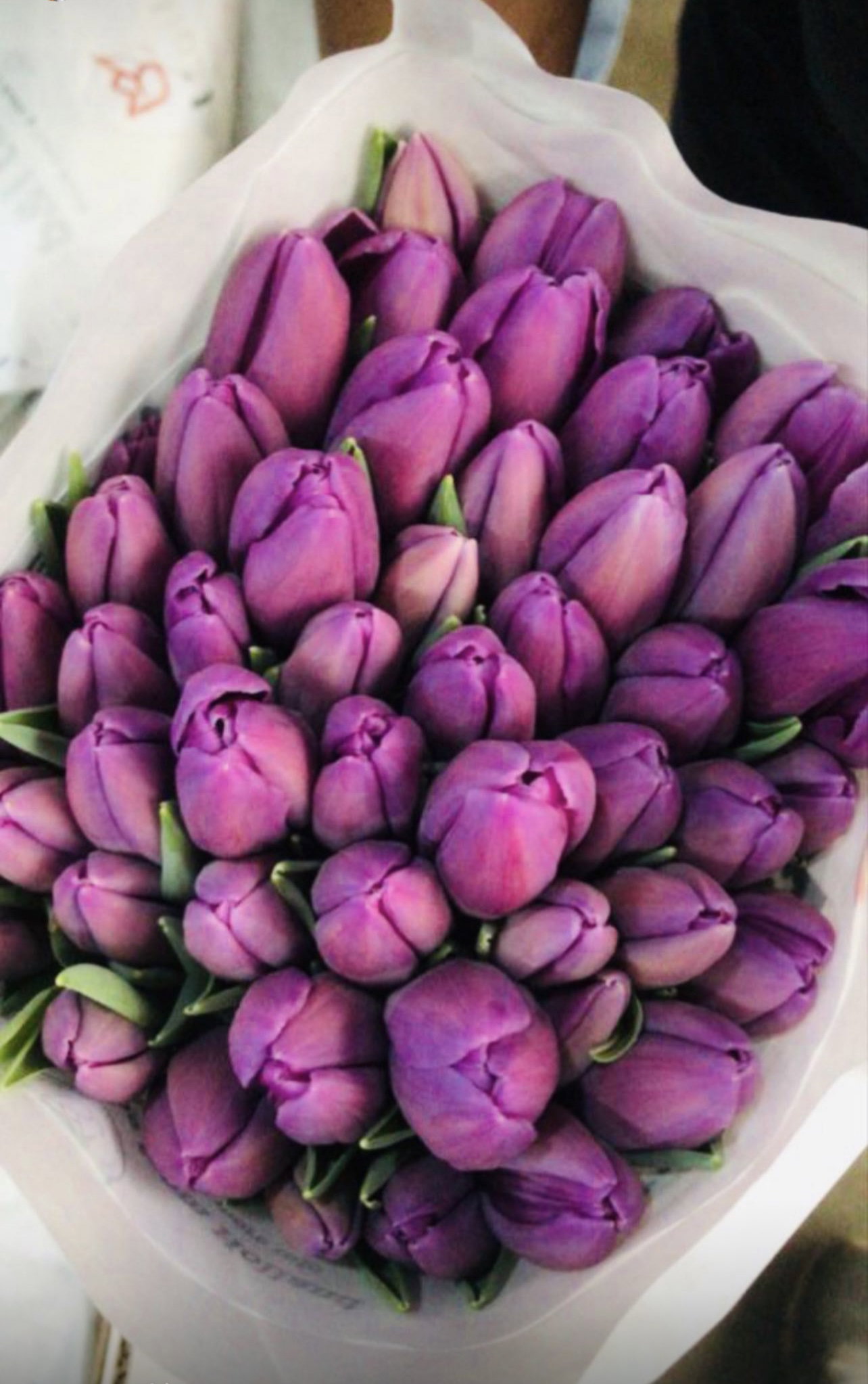 TULIPS PAPER WRAP_4