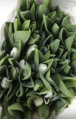 TULIPS PAPER WRAP