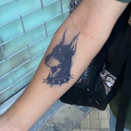 Doberman Guardian