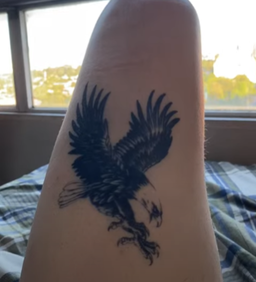 Aguila