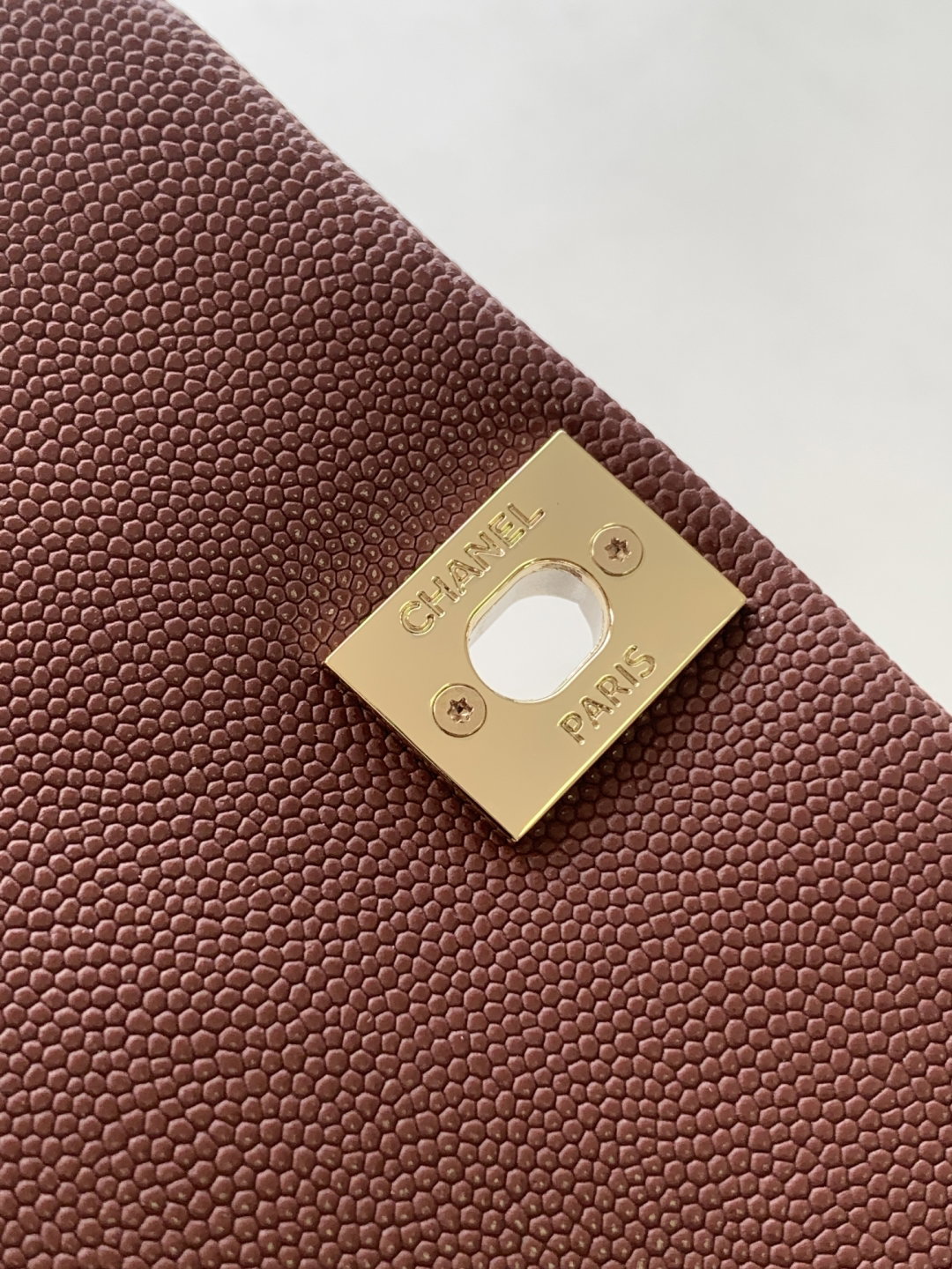 CHANEL BAGPACK_6