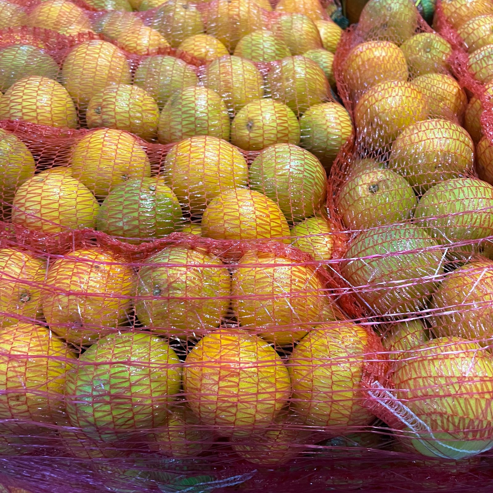 6kg Orange bag_0