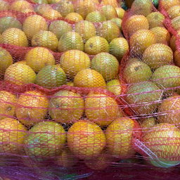 6kg Orange bag