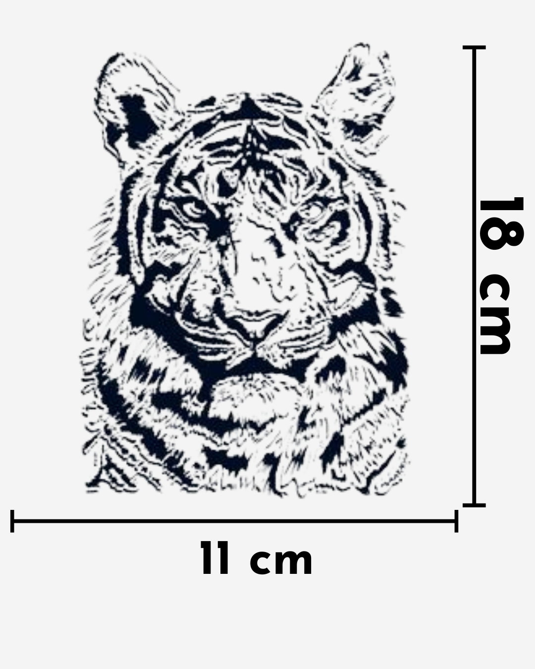 TigerRr_0