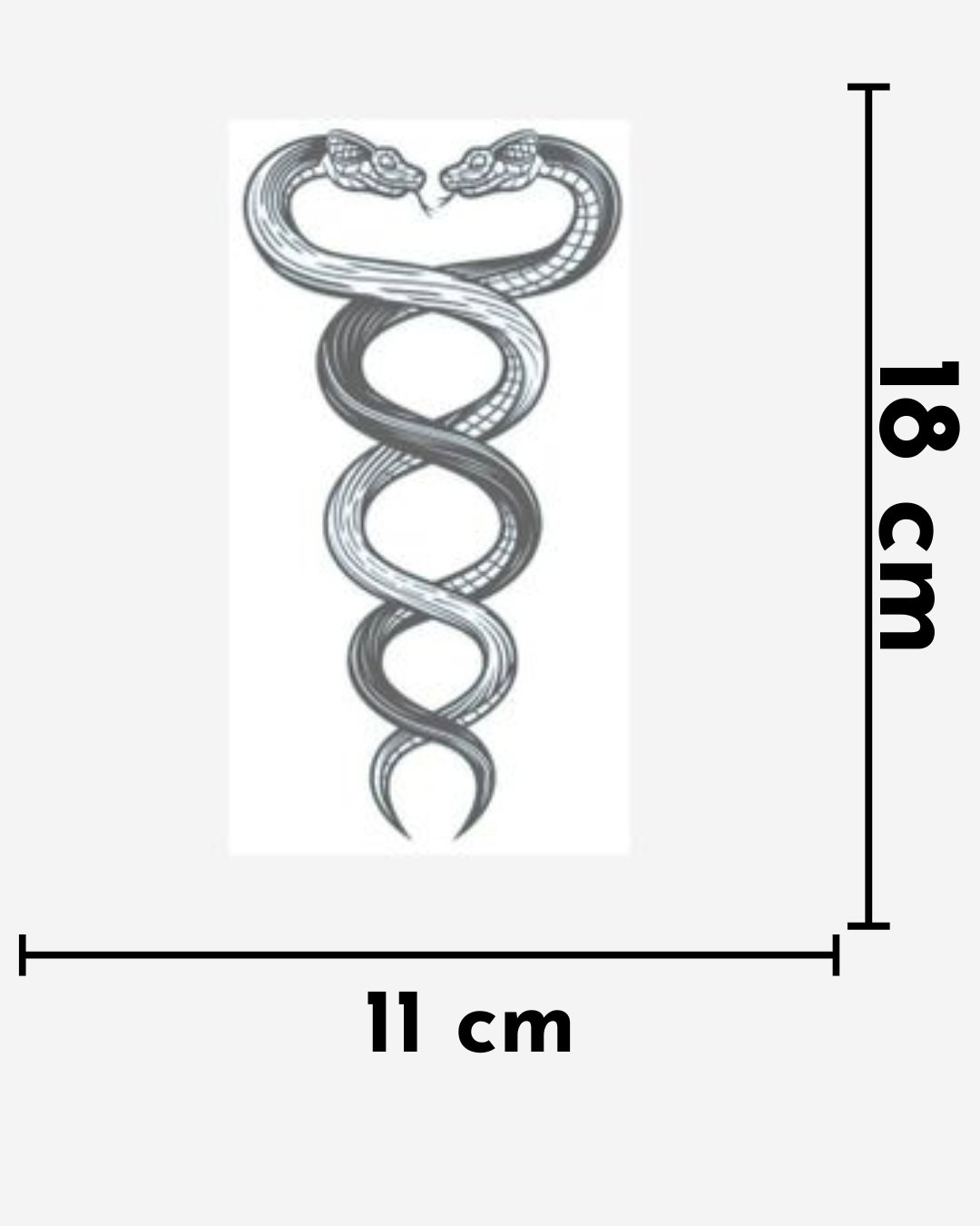 Equilibrio de serpientes_0